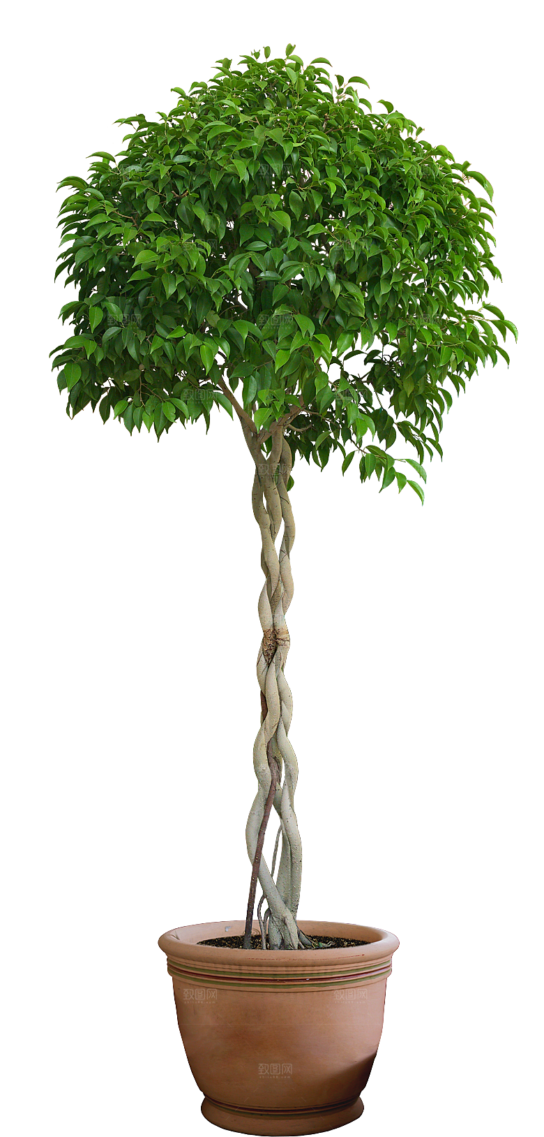 花艺软装北欧绿植插花花卉盆栽PNG