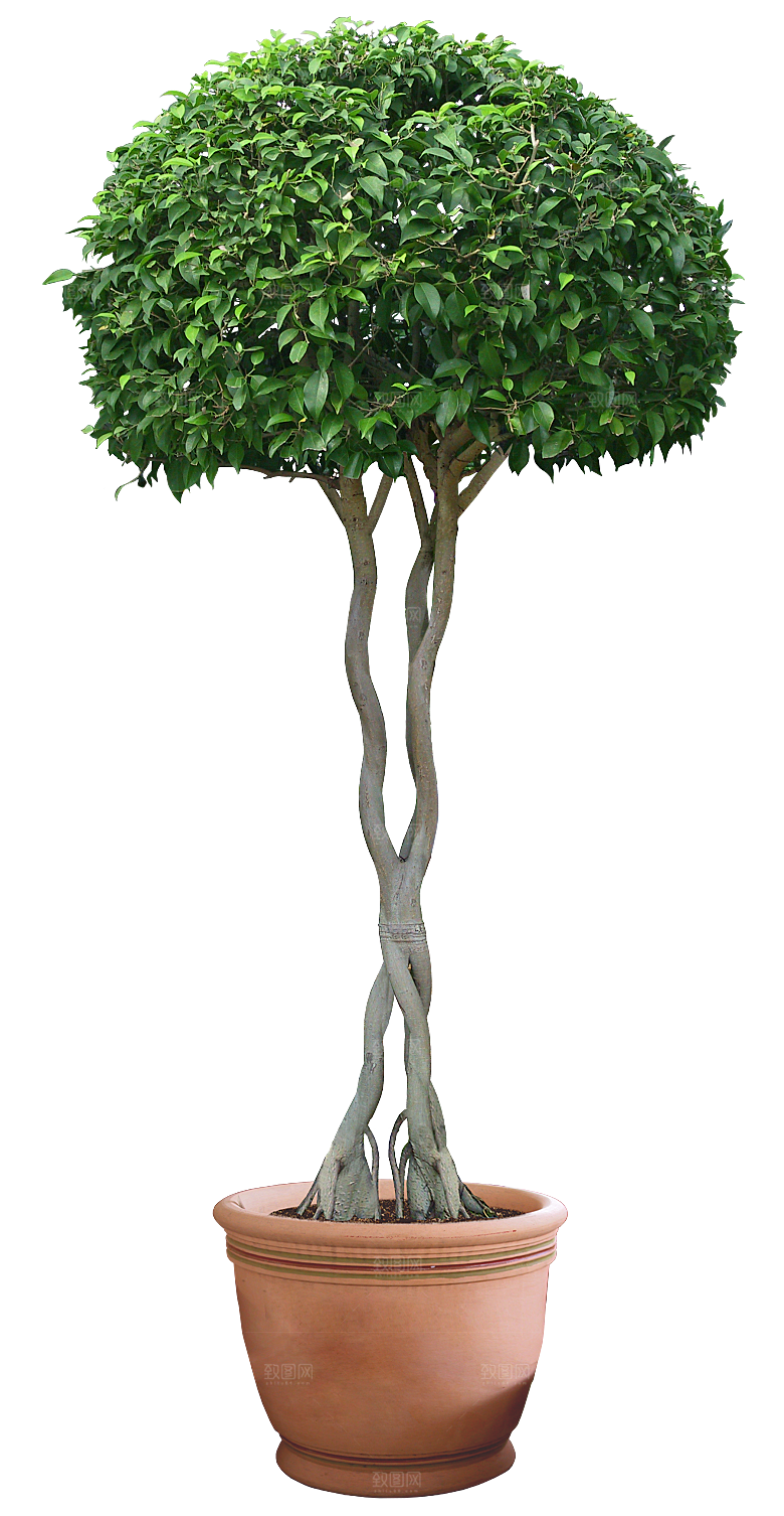 花艺软装北欧绿植插花花卉盆栽PNG