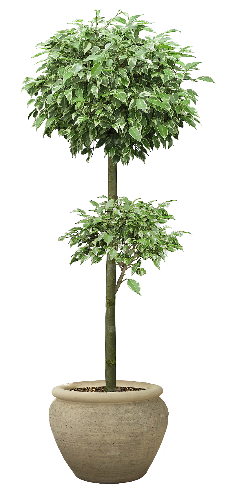 花艺软装北欧绿植插花花卉盆栽PNG