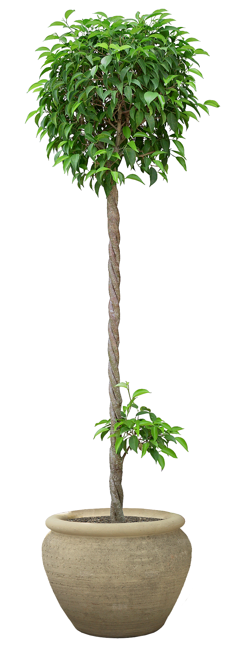 花艺软装北欧绿植插花花卉盆栽PNG
