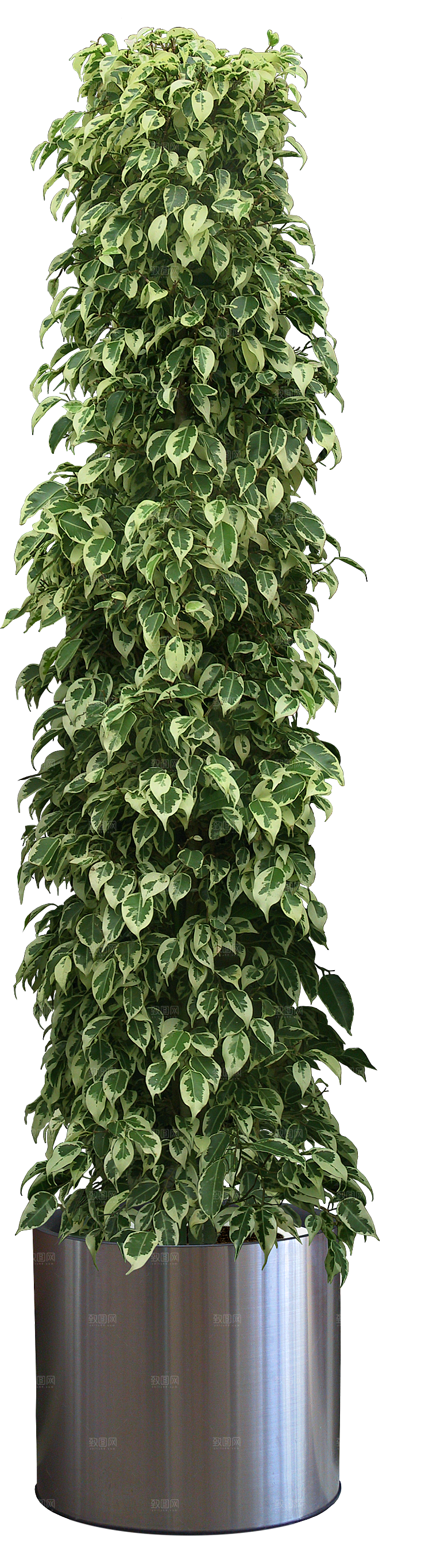 花艺软装北欧绿植插花花卉盆栽PNG