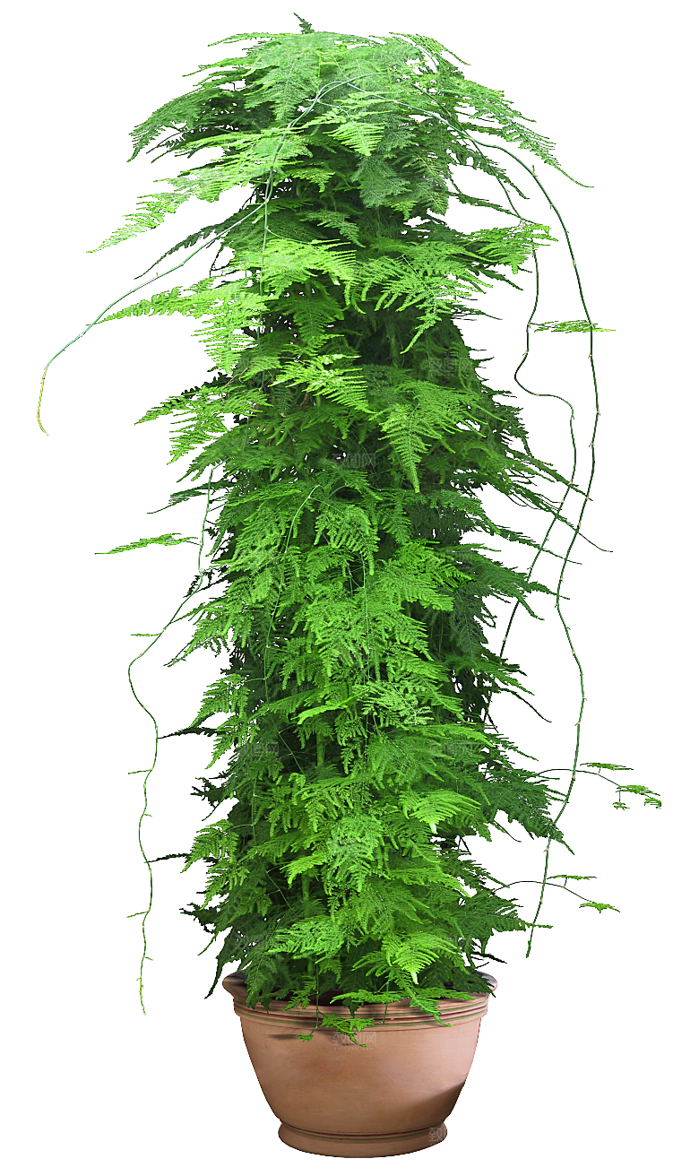 花艺软装北欧绿植插花花卉盆栽PNG