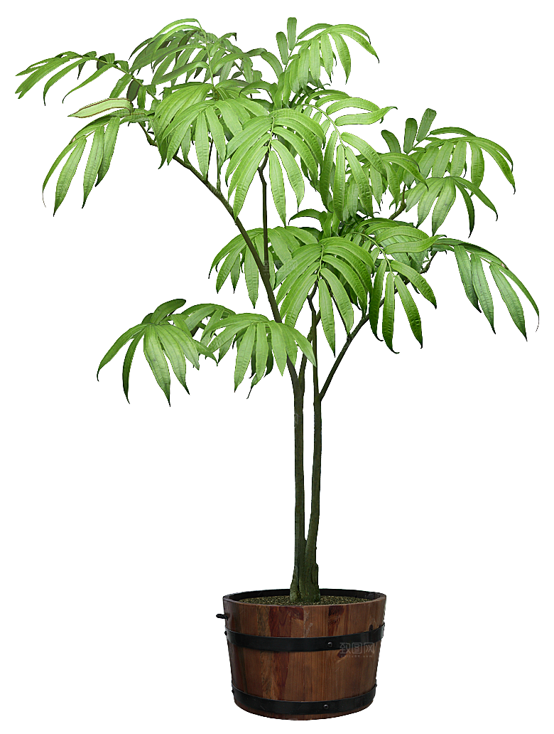 花艺软装北欧绿植插花花卉盆栽PNG