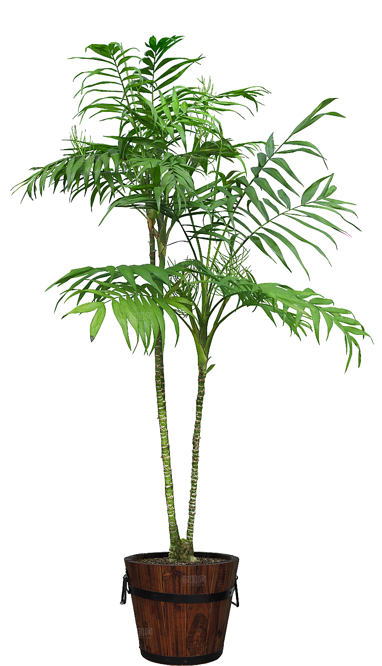 花艺软装北欧绿植插花花卉盆栽PNG