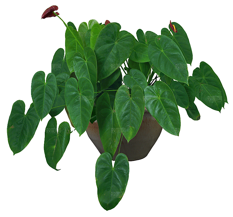 花艺软装北欧绿植插花花卉盆栽PNG素材