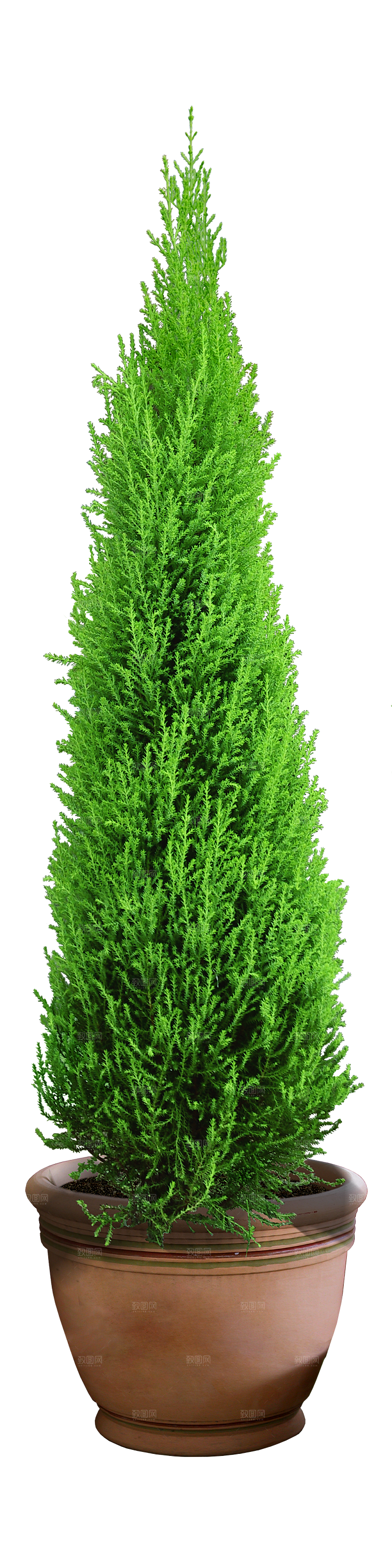 花艺软装北欧绿植插花花卉盆栽PNG素材
