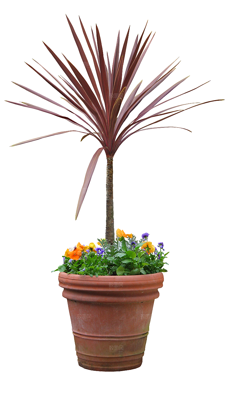 花艺软装北欧绿植插花花卉盆栽PNG素材
