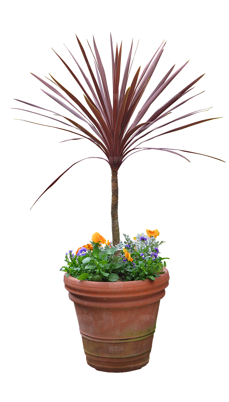 花艺软装北欧绿植插花花卉盆栽PNG素材