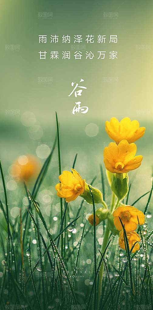 中国传统24节气谷雨手机海报