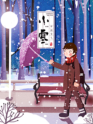 冬天冬季小寒简约大气海报插画