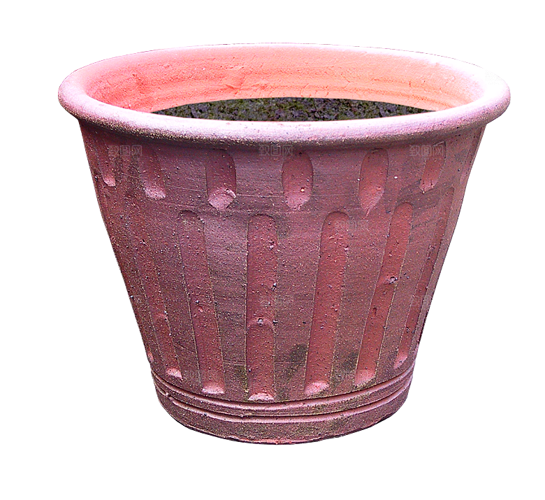高清室内绿植盆栽盆景花盆免抠素材元素