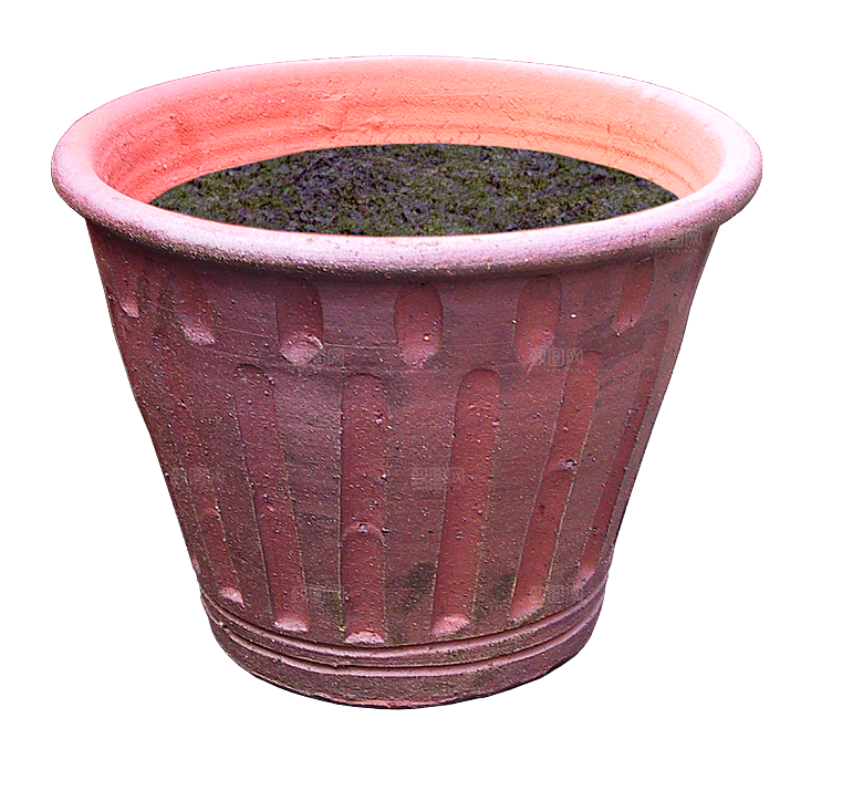 高清室内绿植盆栽盆景花盆免抠素材元素