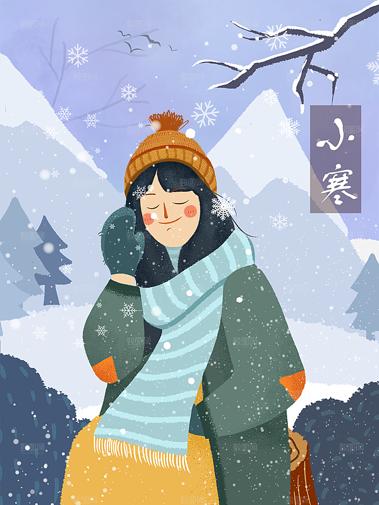 冬天冬季小寒简约大气海报插画