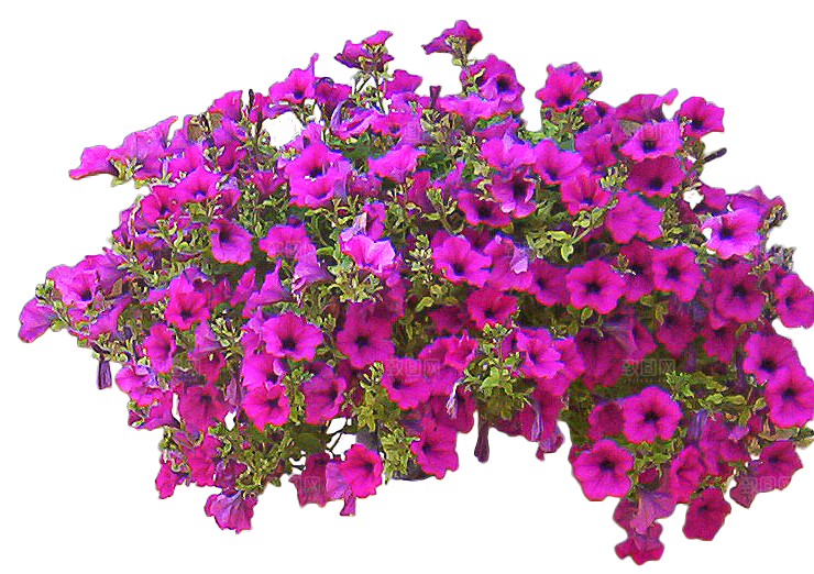 PS高清景观花卉花镜花坛花草植物搭配