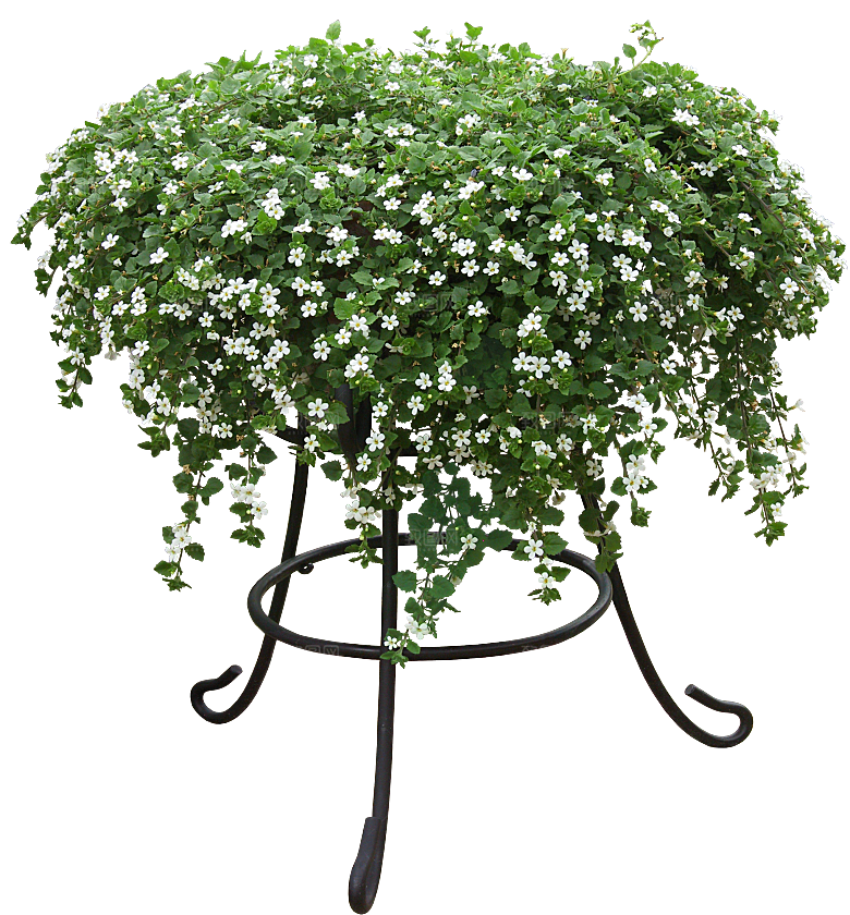 PS高清景观花卉花镜花坛花草植物搭配素材