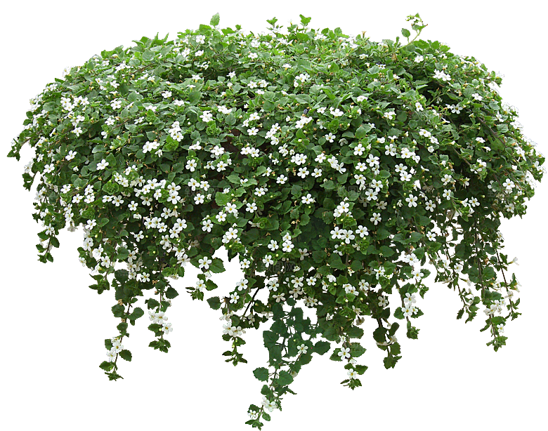 PS高清景观花卉花镜花坛花草植物搭配素材