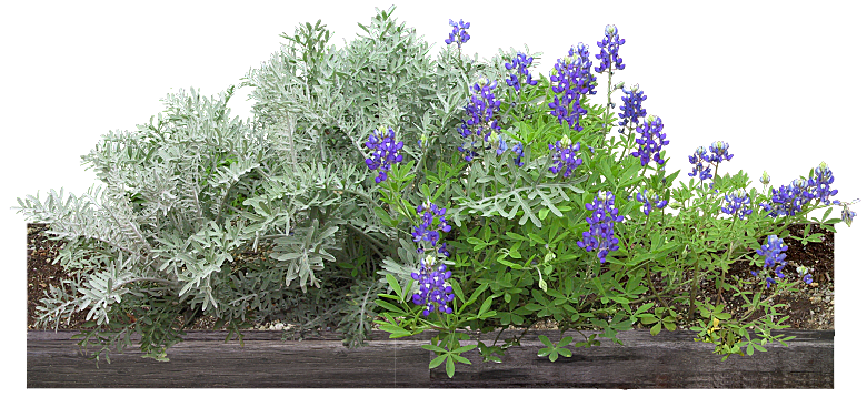 PS高清景观花卉花镜花坛花草植物搭配素材
