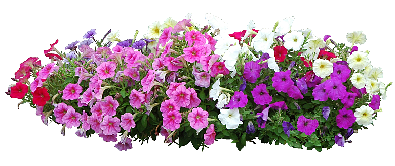 PS高清景观花卉花镜花坛花草植物搭配