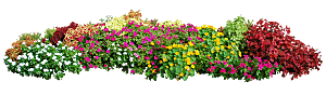 PS高清景观花卉花镜花坛花草植物搭配