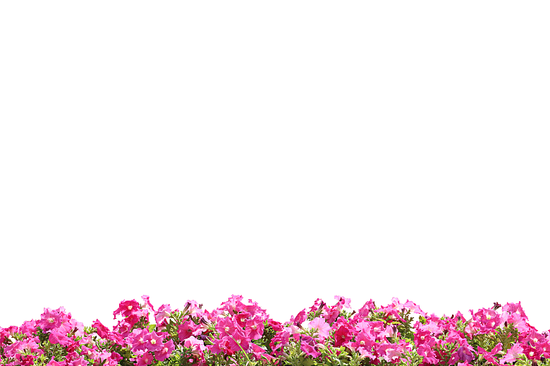 PS高清景观花卉花镜花坛花草植物搭配