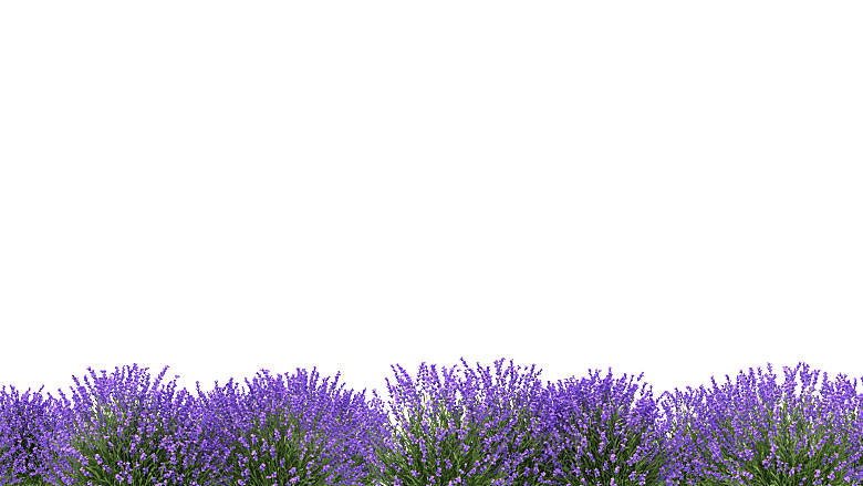 PS高清景观花卉花镜花坛花草植物搭配