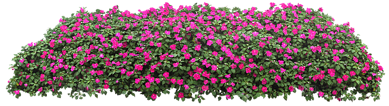 PS高清景观花卉花镜花坛花草植物搭配