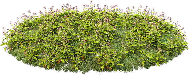 PS高清景观花卉花镜花坛花草植物搭配