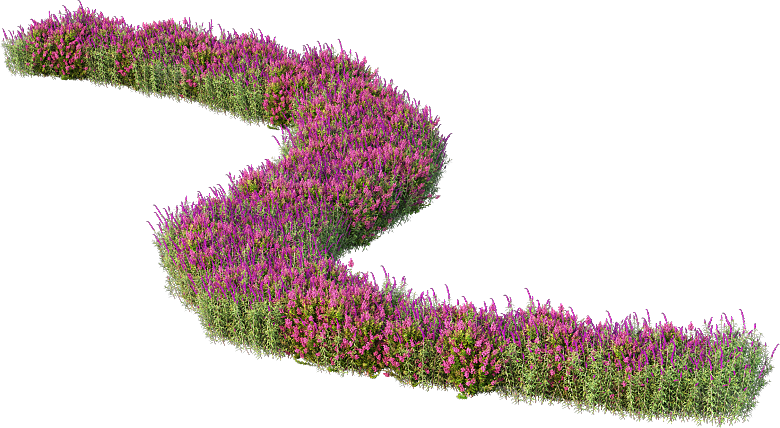 PS高清景观花卉花镜花坛花草植物搭配