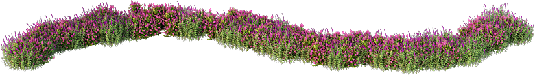 PS高清景观花卉花镜花坛花草植物搭配