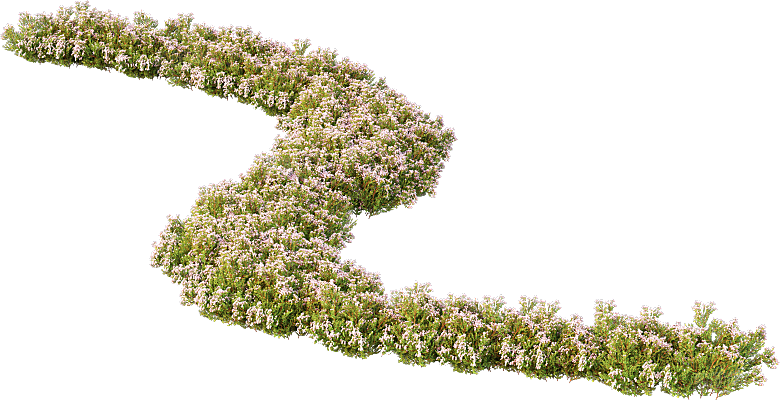 PS高清景观花卉花镜花坛花草植物搭配