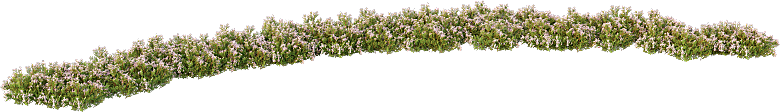 PS高清景观花卉花镜花坛花草植物搭配