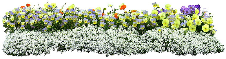 PS高清景观花卉花镜花坛花草植物搭配