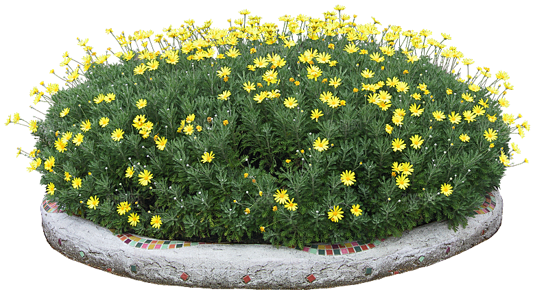 PS高清景观花卉花镜花坛花草植物搭配