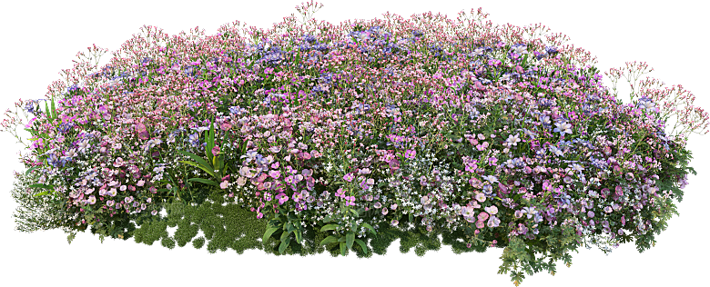 PS高清景观花卉花镜花坛花草植物搭配