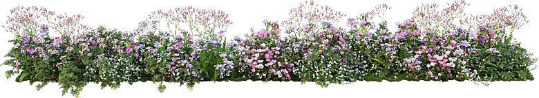 PS高清景观花卉花镜花坛花草植物搭配素材