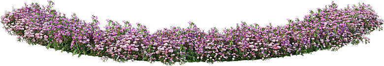PS高清景观花卉花镜花坛花草植物搭配