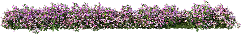 PS高清景观花卉花镜花坛花草植物搭配