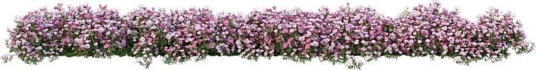PS高清景观花卉花镜花坛花草植物搭配