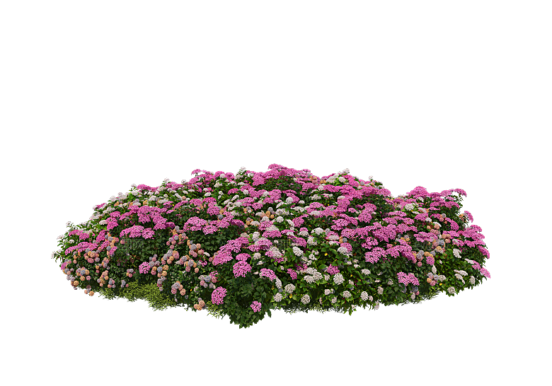PS高清景观花卉花镜花坛花草植物搭配