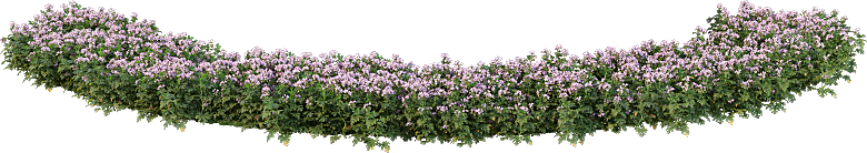 PS高清景观花卉花镜花坛花草植物搭配