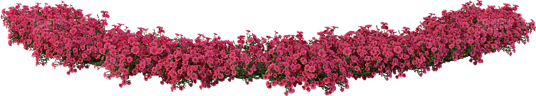 PS高清景观花卉花镜花坛花草植物搭配素材