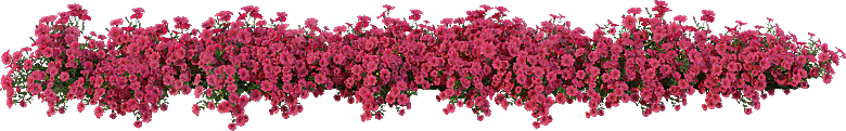 PS高清景观花卉花镜花坛花草植物搭配素材