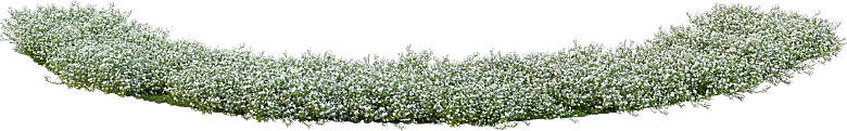 PS高清景观花卉花镜花坛花草植物搭配素材