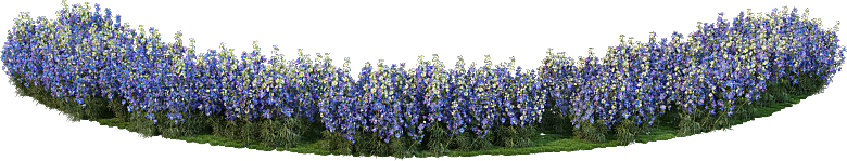 PS高清景观花卉花镜花坛花草植物搭配