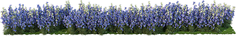 PS高清景观花卉花镜花坛花草植物搭配