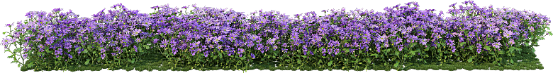 PS高清景观花卉花镜花坛花草植物搭配