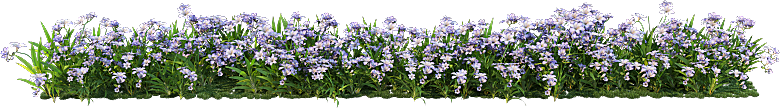 PS高清景观花卉花镜花坛花草植物搭配素材