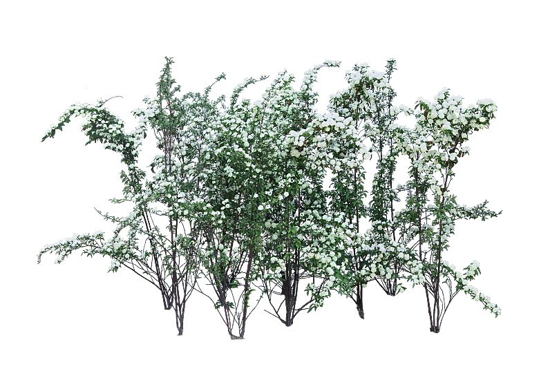 PS高清景观花卉花镜花坛花草植物搭配素材