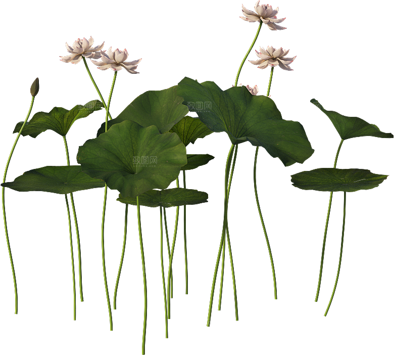 PS高清景观花卉花镜花坛花草植物搭配
