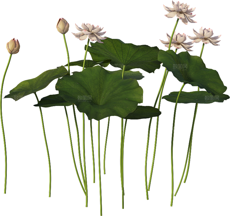 PS高清景观花卉花镜花坛花草植物搭配